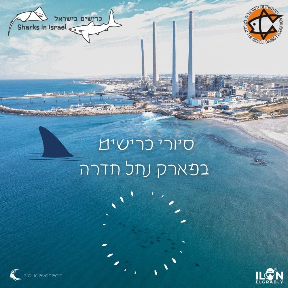 תמונת אווירה