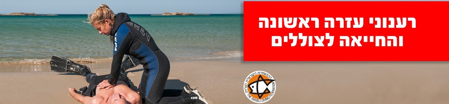 דף פנימי - תמונת אווירה