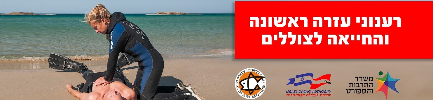 תמונת אווירה