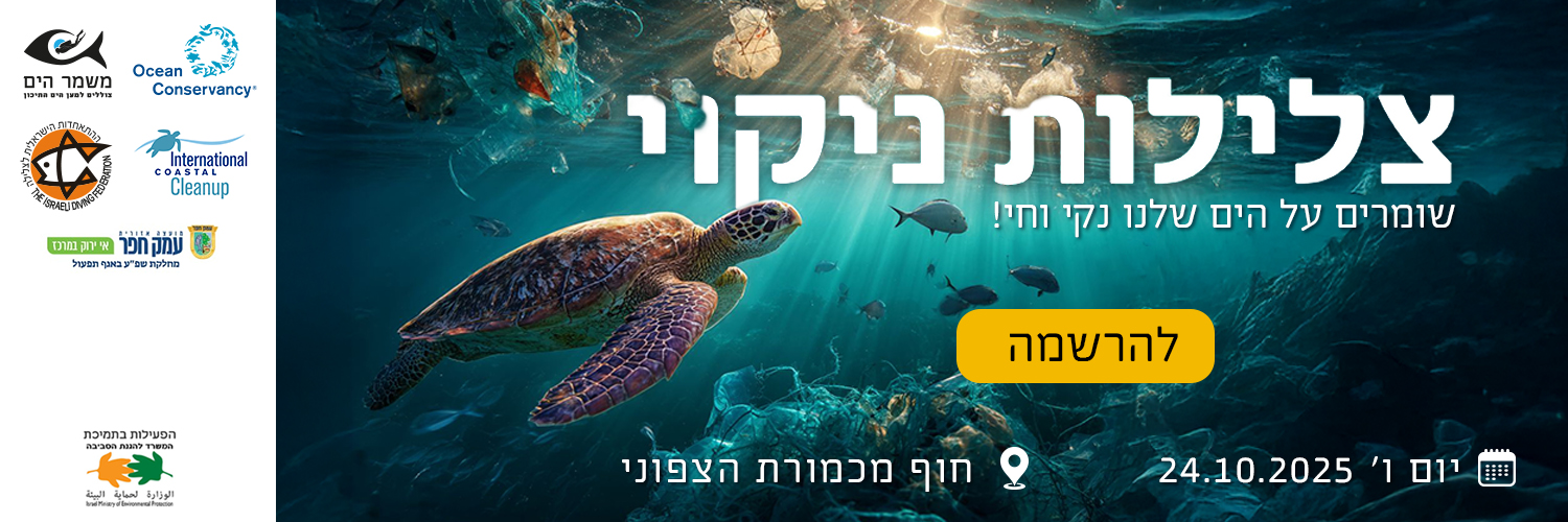 תמונת אווירה