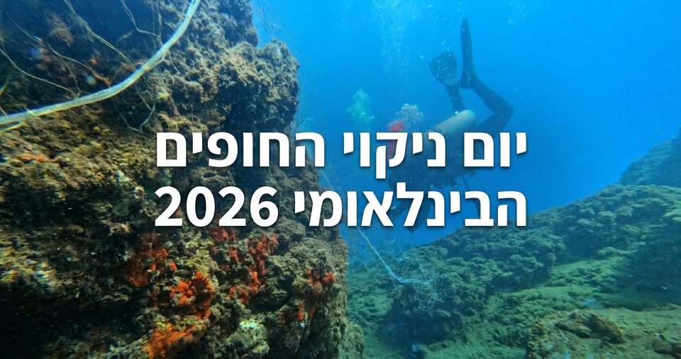 תמונת אווירה