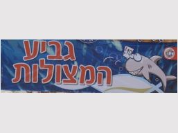 גביע המצולות, אילת 2009