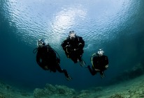 Diving insurance