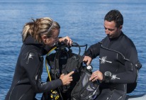 Diving courses