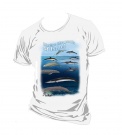  Loligo Shirt - Marine Mammals