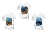 Trio of the Loligo shirts