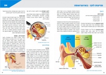 פיזיקה ופיזיולוגיה לצוללים - מהדורה חדשה #4