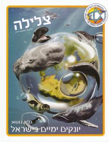 מגזין צלילה - יונקים ימיים בישראל