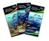 A guide to identifying marine animals on the shores of the Gulf of Eilat